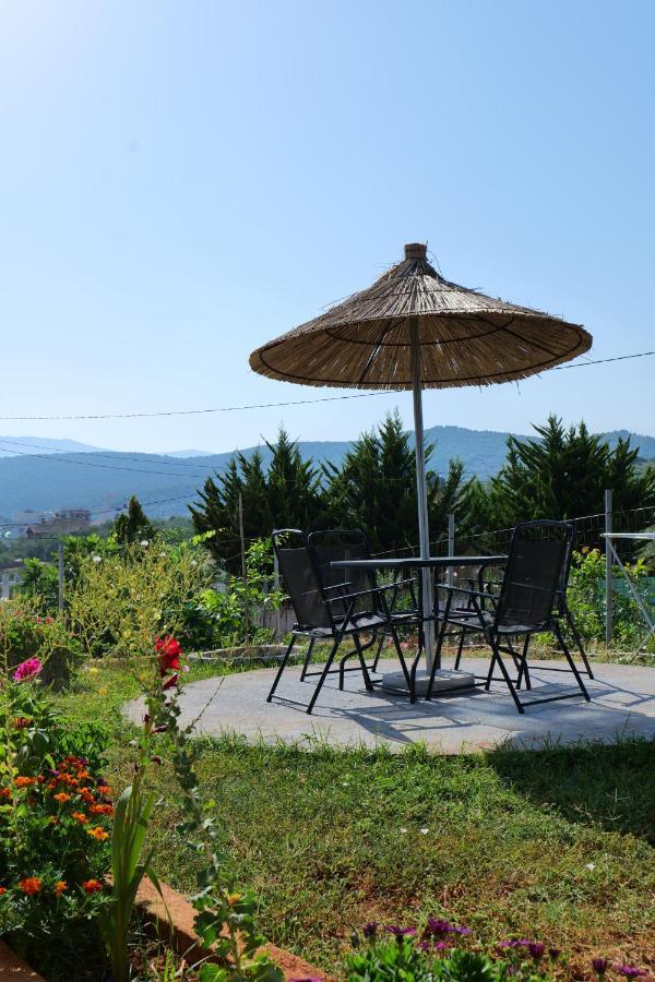 Vila Osmanaj クサミル エクステリア 写真